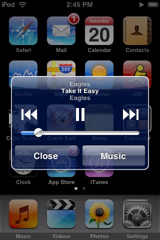 iPod music controls